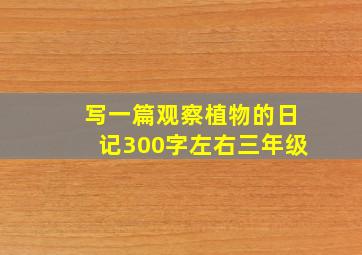 写一篇观察植物的日记300字左右三年级