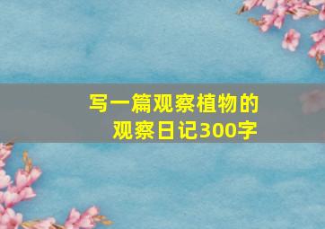 写一篇观察植物的观察日记300字