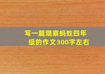 写一篇观察蚂蚁四年级的作文300字左右