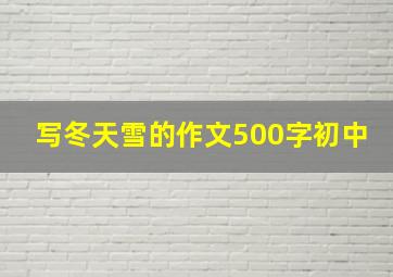 写冬天雪的作文500字初中