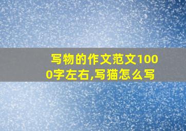 写物的作文范文1000字左右,写猫怎么写