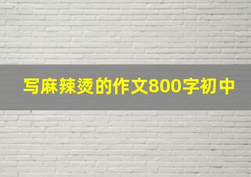 写麻辣烫的作文800字初中