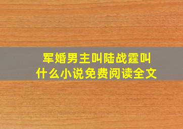 军婚男主叫陆战霆叫什么小说免费阅读全文