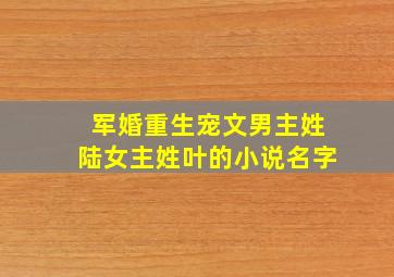 军婚重生宠文男主姓陆女主姓叶的小说名字