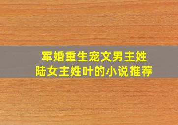 军婚重生宠文男主姓陆女主姓叶的小说推荐