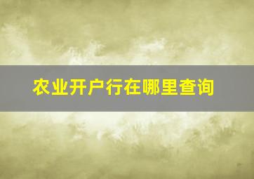 农业开户行在哪里查询