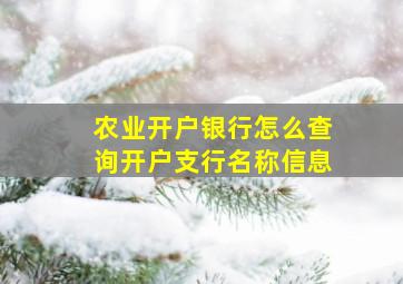 农业开户银行怎么查询开户支行名称信息