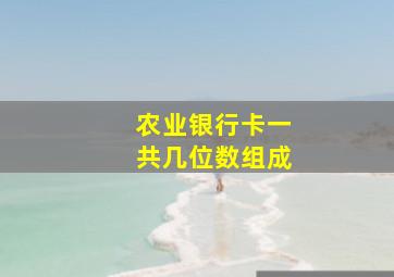 农业银行卡一共几位数组成