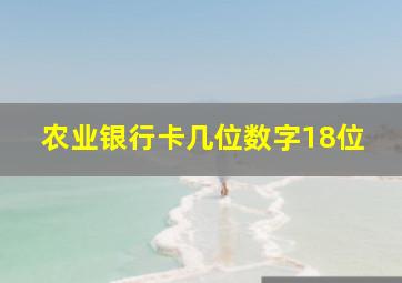 农业银行卡几位数字18位