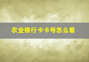 农业银行卡卡号怎么看