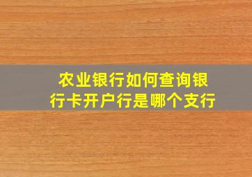 农业银行如何查询银行卡开户行是哪个支行