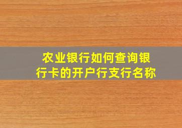 农业银行如何查询银行卡的开户行支行名称