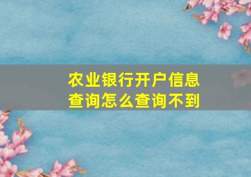 农业银行开户信息查询怎么查询不到