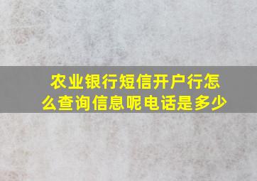 农业银行短信开户行怎么查询信息呢电话是多少