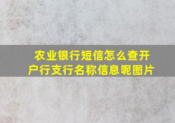 农业银行短信怎么查开户行支行名称信息呢图片