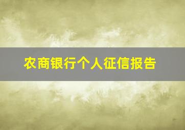 农商银行个人征信报告