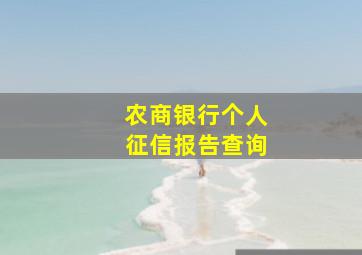 农商银行个人征信报告查询