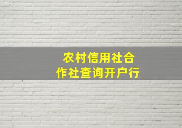 农村信用社合作社查询开户行