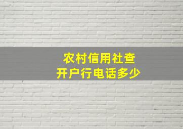 农村信用社查开户行电话多少