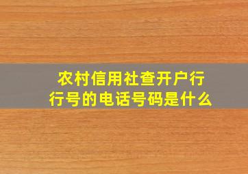 农村信用社查开户行行号的电话号码是什么