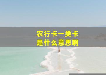 农行卡一类卡是什么意思啊