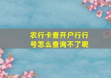 农行卡查开户行行号怎么查询不了呢