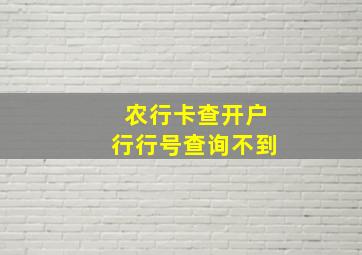 农行卡查开户行行号查询不到