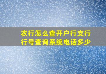 农行怎么查开户行支行行号查询系统电话多少