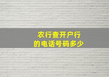 农行查开户行的电话号码多少