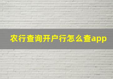 农行查询开户行怎么查app