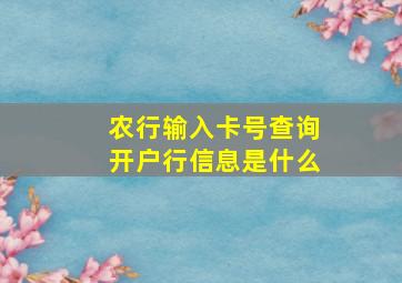 农行输入卡号查询开户行信息是什么