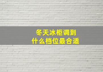 冬天冰柜调到什么档位最合适