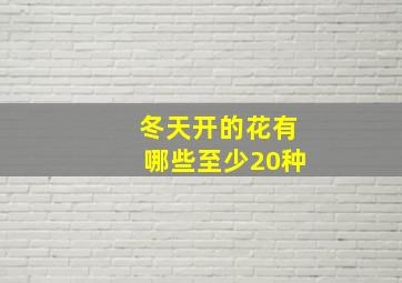 冬天开的花有哪些至少20种