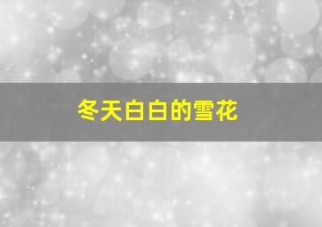 冬天白白的雪花