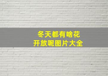 冬天都有啥花开放呢图片大全