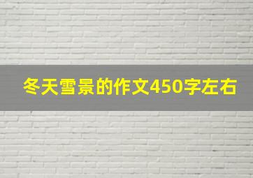 冬天雪景的作文450字左右