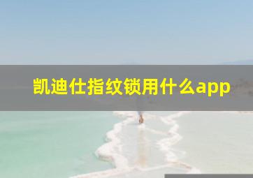 凯迪仕指纹锁用什么app