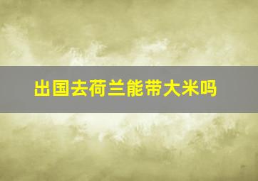 出国去荷兰能带大米吗