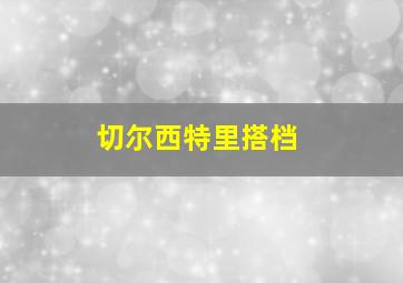 切尔西特里搭档