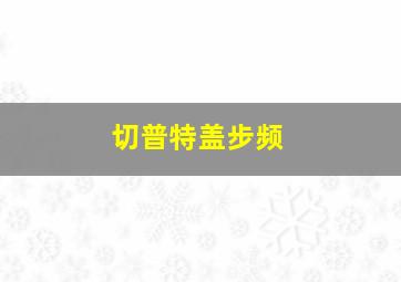 切普特盖步频