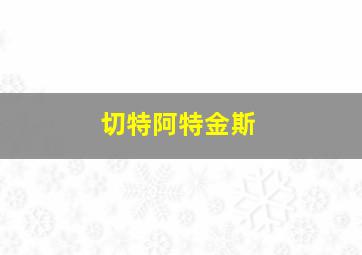 切特阿特金斯