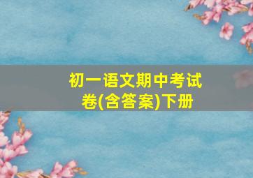 初一语文期中考试卷(含答案)下册