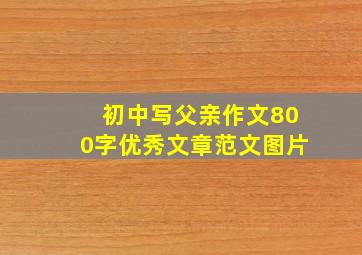 初中写父亲作文800字优秀文章范文图片