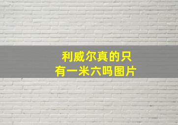 利威尔真的只有一米六吗图片