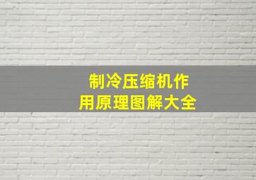 制冷压缩机作用原理图解大全