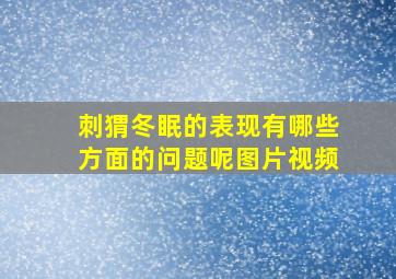 刺猬冬眠的表现有哪些方面的问题呢图片视频