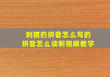 刺猬的拼音怎么写的拼音怎么读啊视频教学