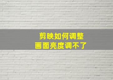 剪映如何调整画面亮度调不了