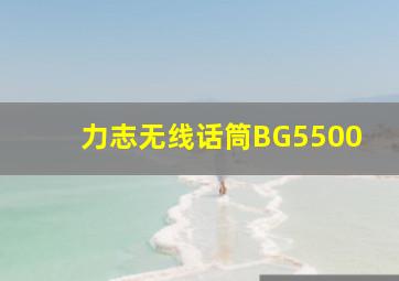 力志无线话筒BG5500