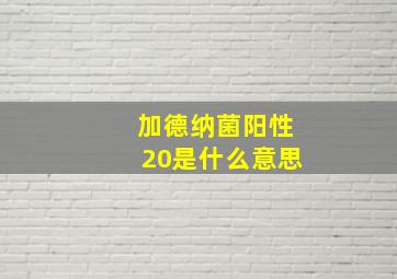 加德纳菌阳性20是什么意思